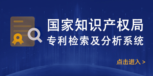 新一代系统地方专利检索及分析系统